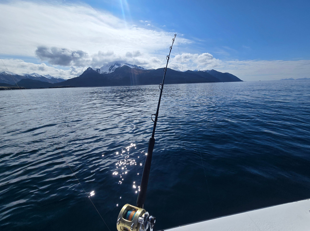 North Country Charters-荷马必去景点