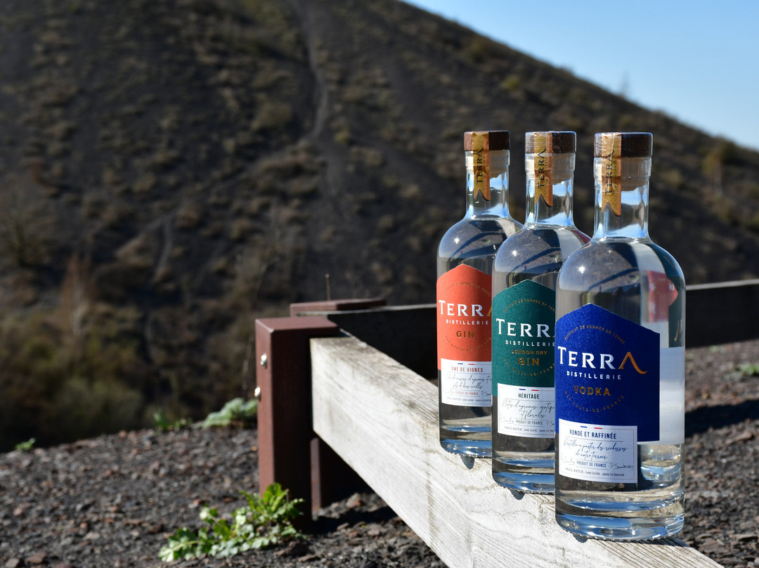 Terra Distillerie - Gin & Vodka Artisanaux-Auchel必去景点