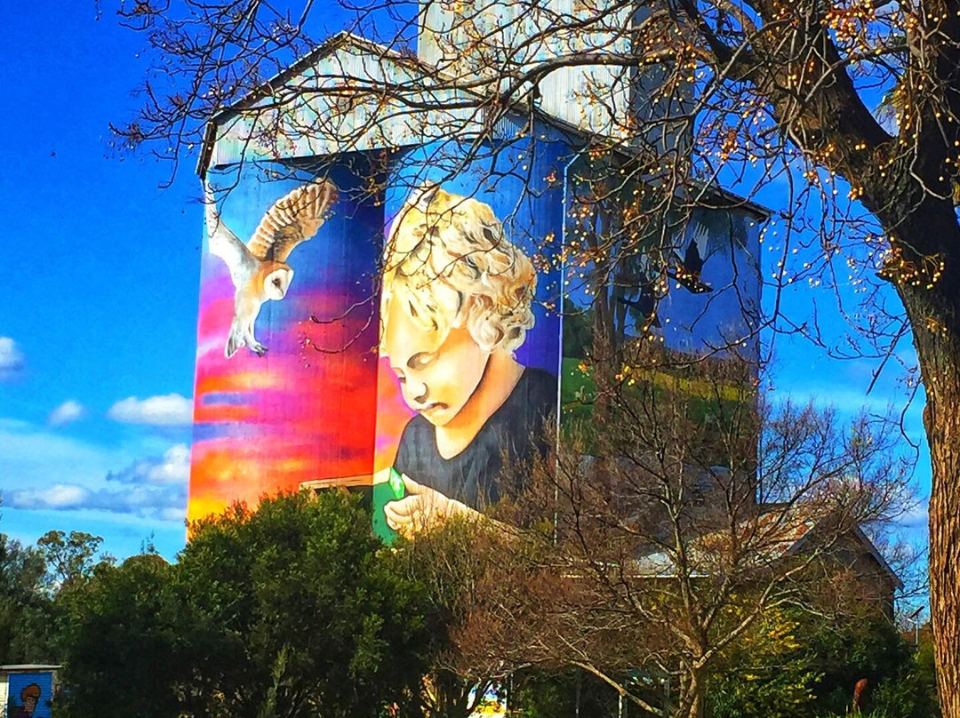 Silo Art Dunedoo-Dunedoo必去景点