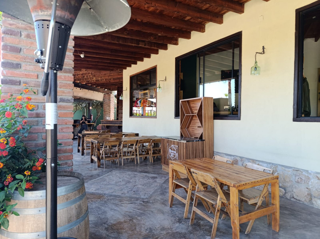 Lechuza Vineyard-Valle de Guadalupe必去景点