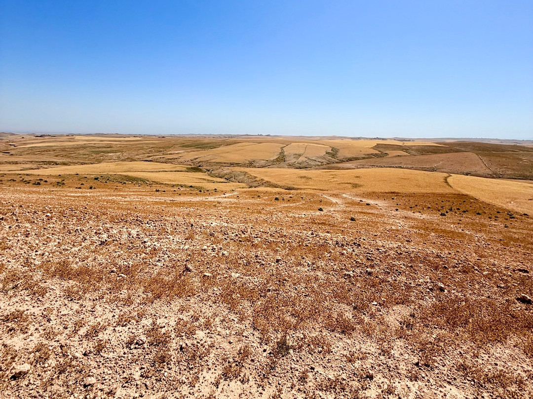 Quad Advisor Marrakech-Lalla Takerkoust必去景点