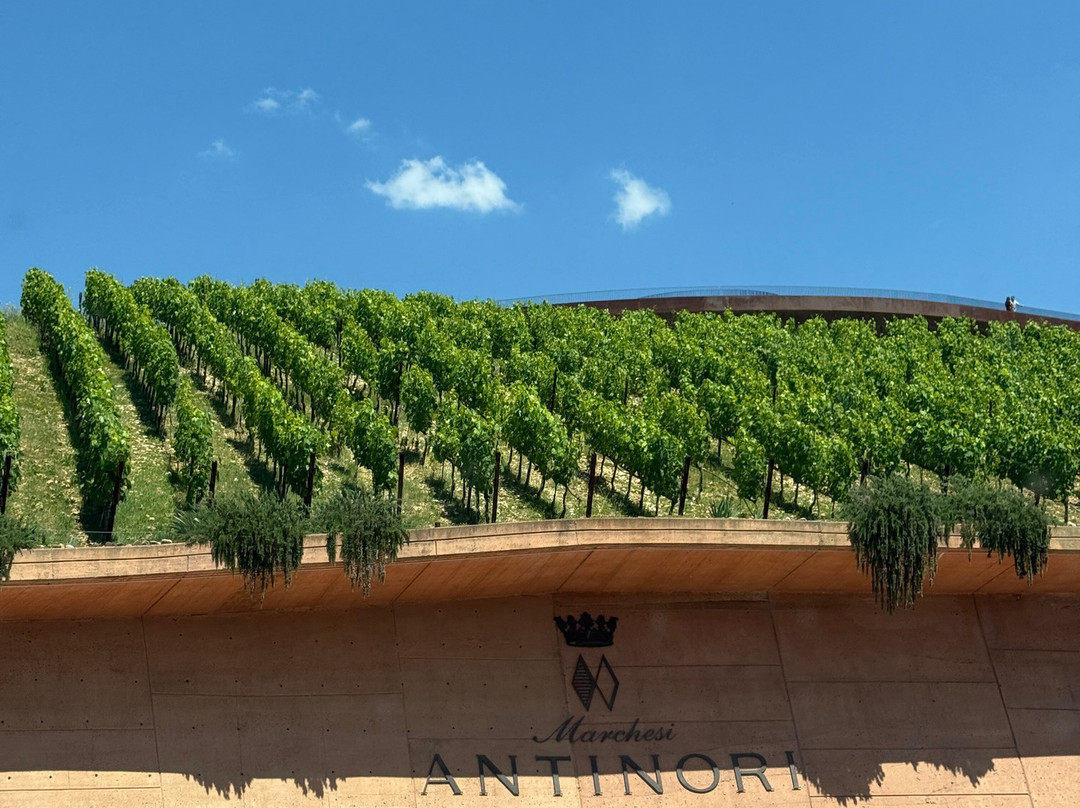 Antinori nel Chianti Classico-佩萨河谷圣卡夏诺必去景点