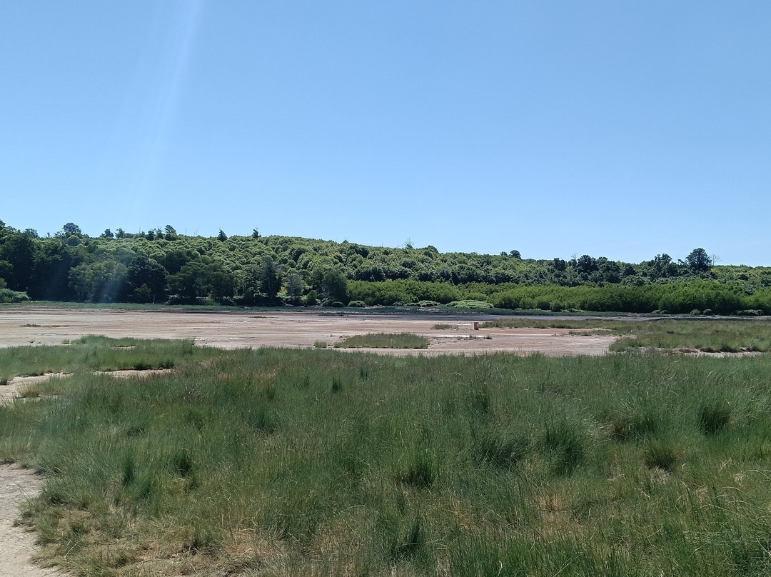 Monumento Naturale Caldara di Manziana-Manziana必去景点