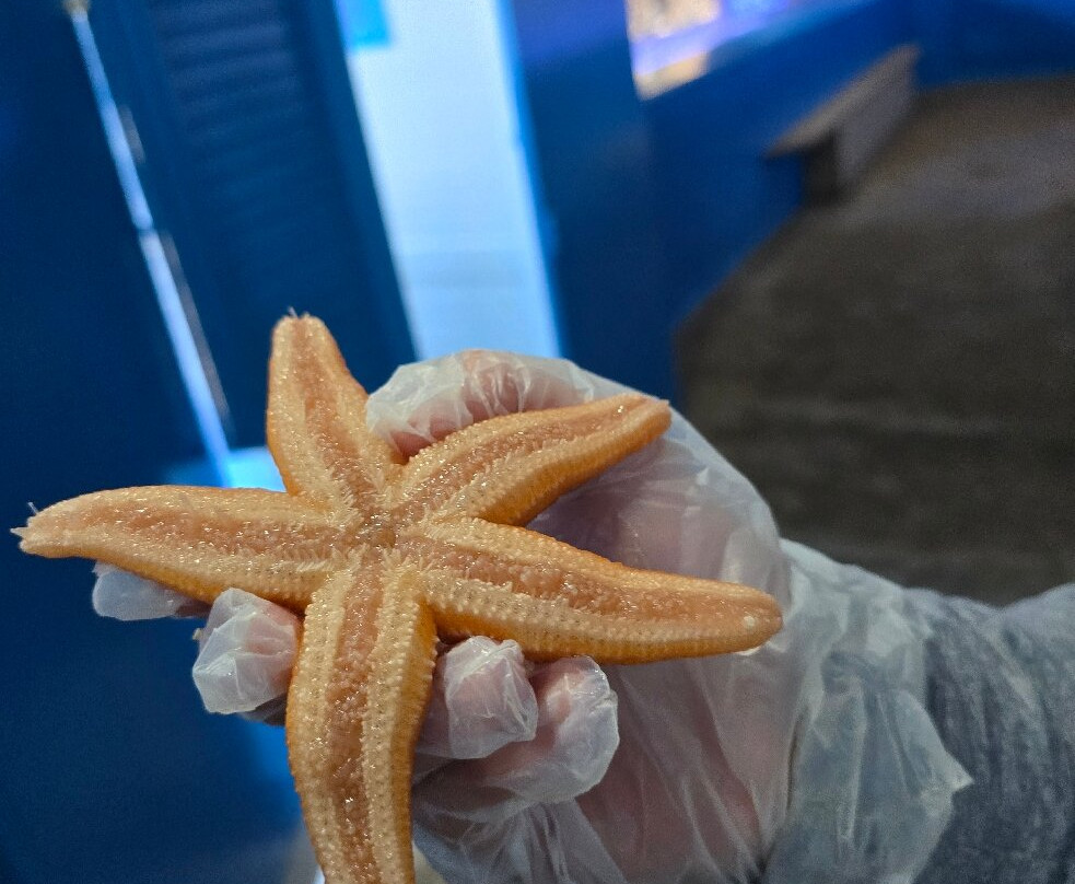 Lyme Regis Marine Aquarium-莱姆里杰斯必去景点