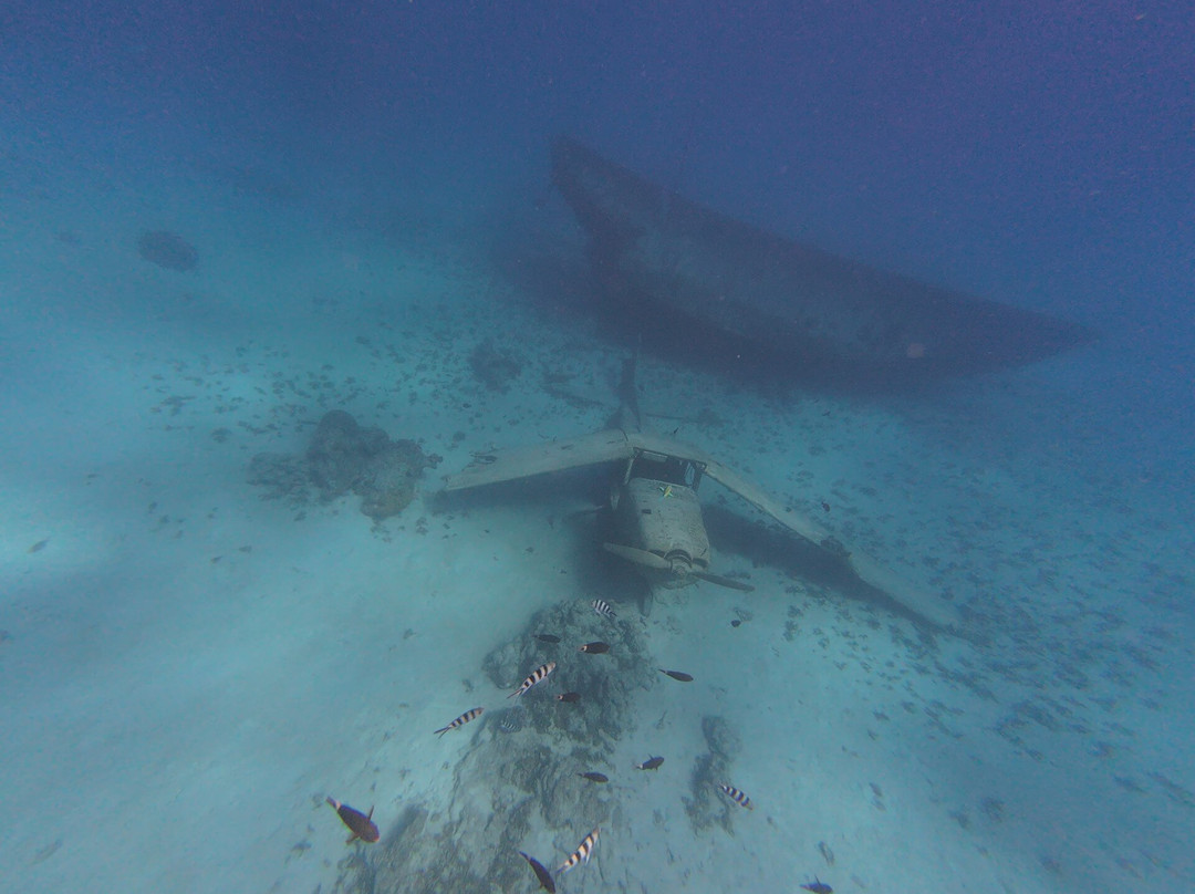 Polyn'easy Dive And Tours-Taravao必去景点