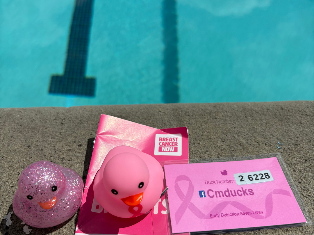 Cirencester Open Air Swimming Pool-赛伦塞斯特必去景点