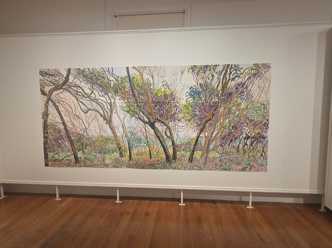 Gympie Regional Gallery-Gympie必去景点