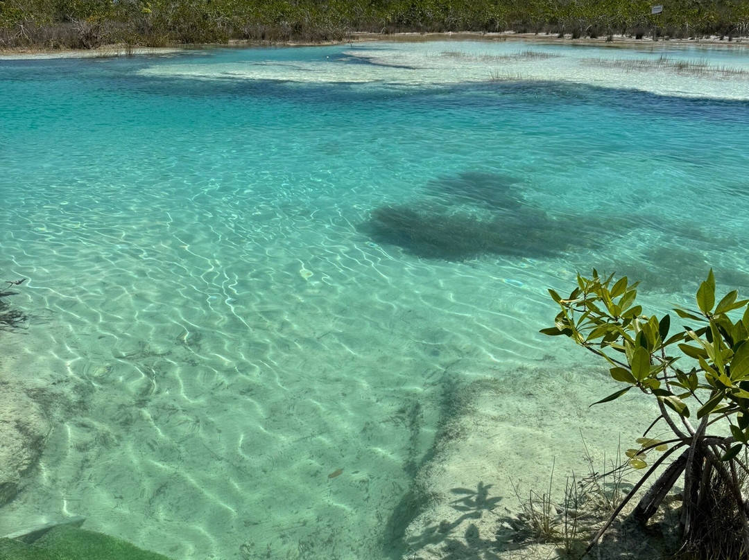 Stromatolites in Bacalar Rapids-Bacalar必去景点