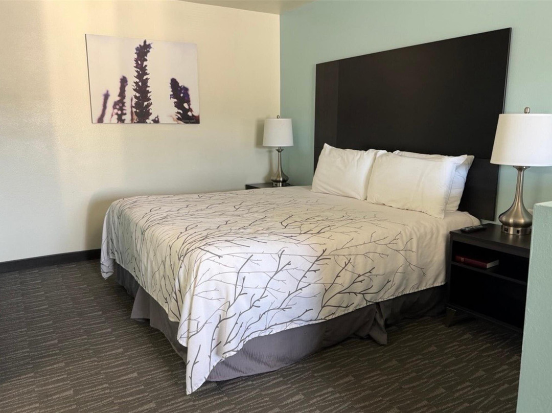 Wellington酒店住宿-SureStay by Best Western Yerington