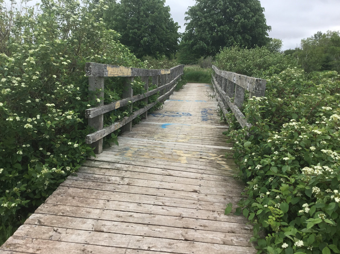 Heather Moyse Heritage Park-萨默赛德必去景点