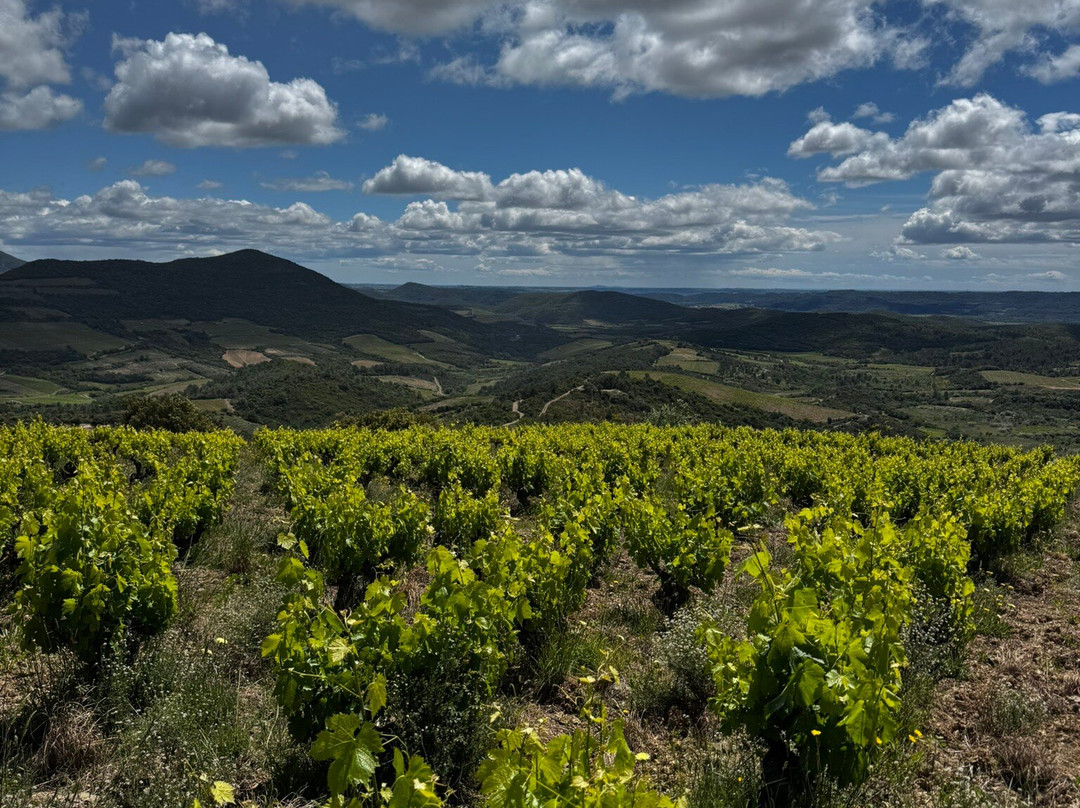 Domaine de Cambis-Berlou必去景点