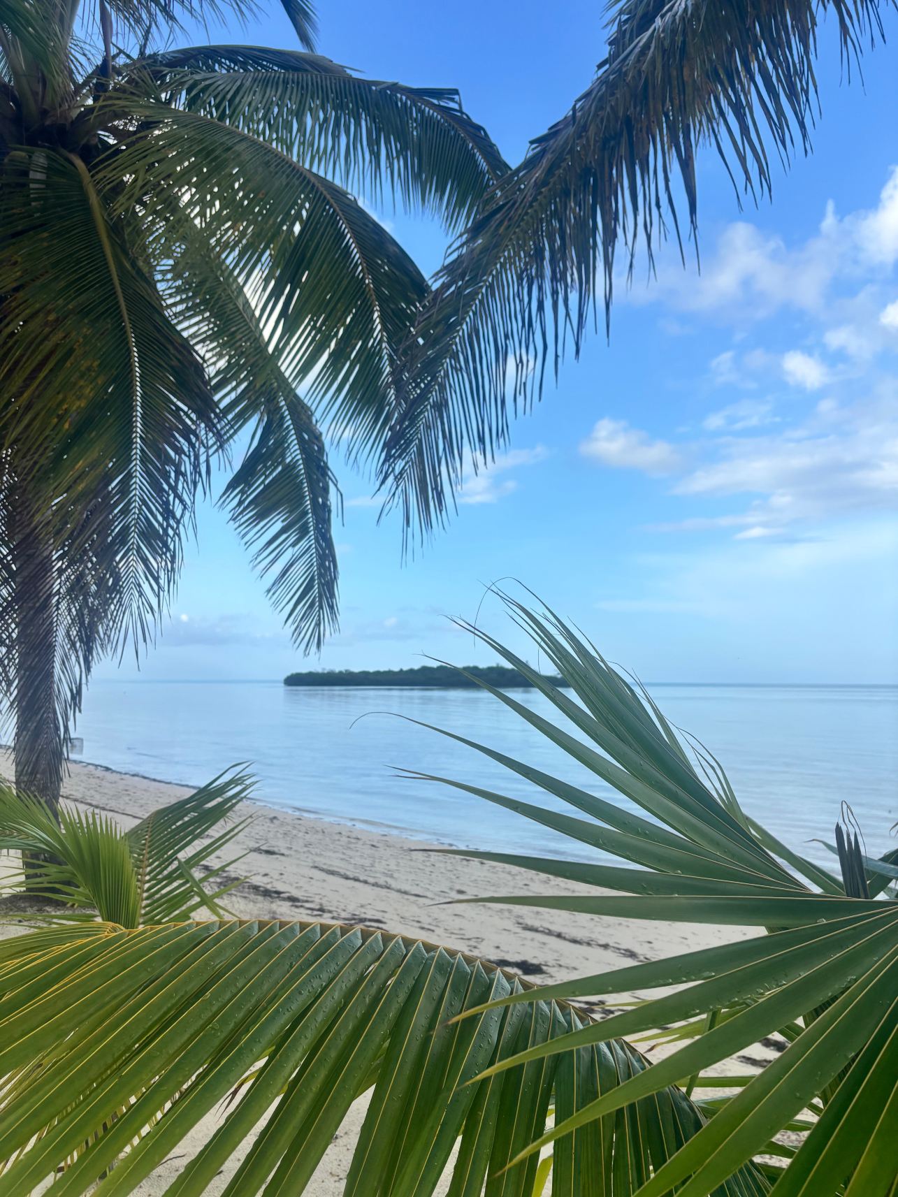 Swains Cay Lodge-旅行者
