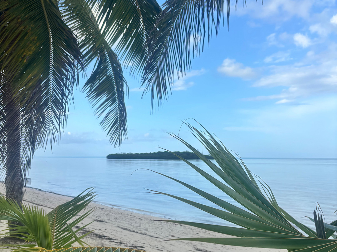 Swains Cay Lodge主图