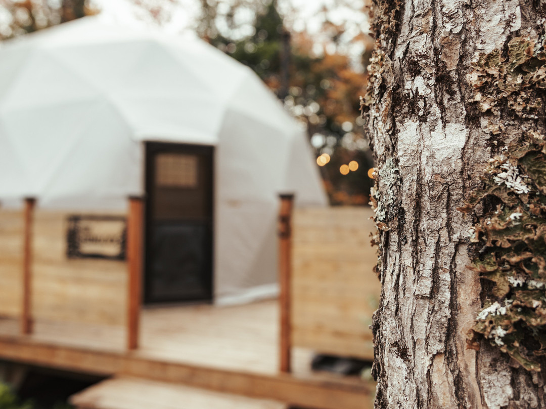 IronTree Glamping