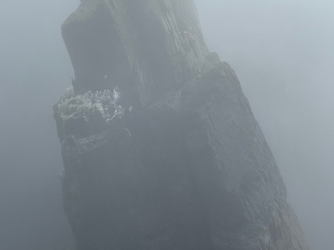 Skellig Michael Cruises-Portmagee必去景点