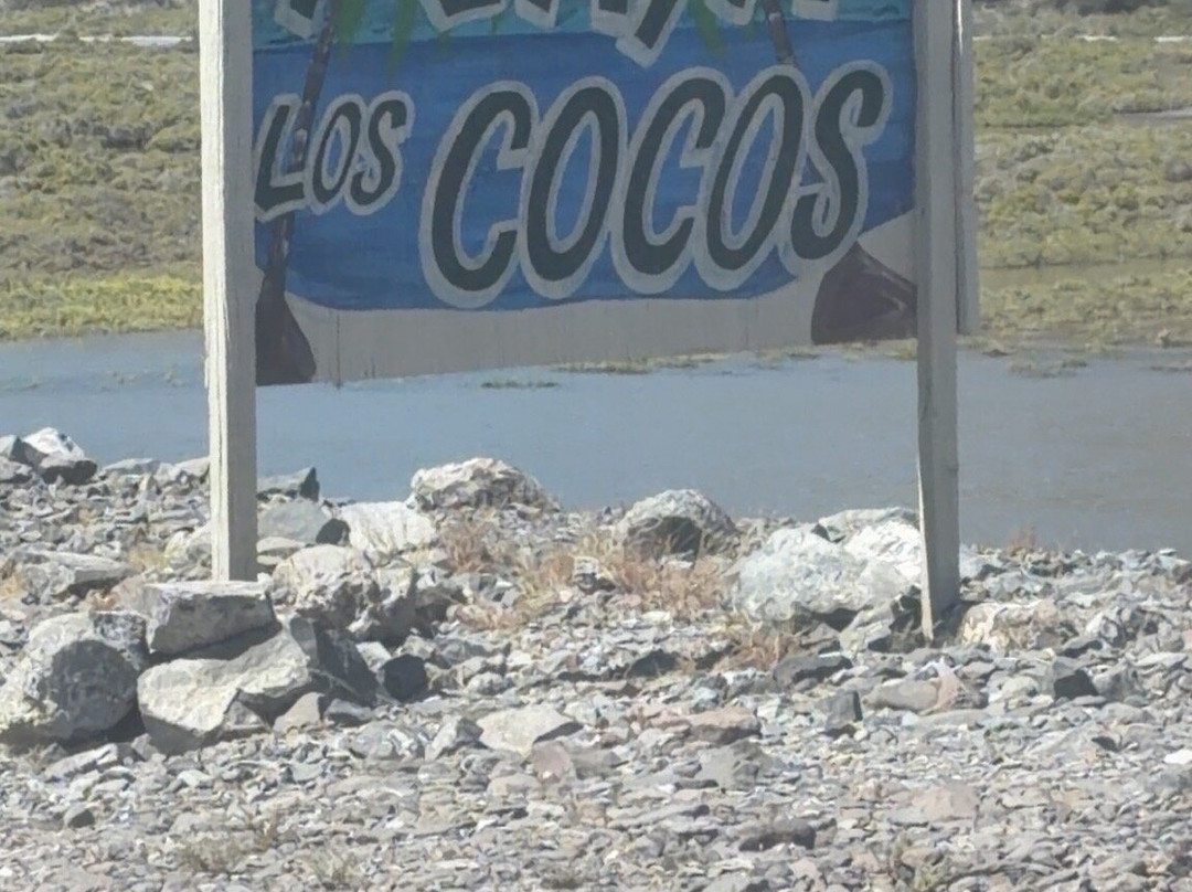 Playa Los Cocos-Mulege必去景点