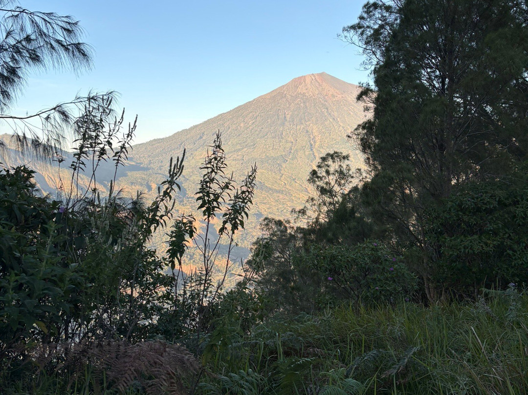 Rinjani Women Adventure-Senaru必去景点