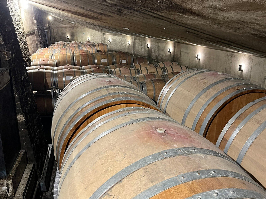 Vietti-Castiglione Falletto必去景点