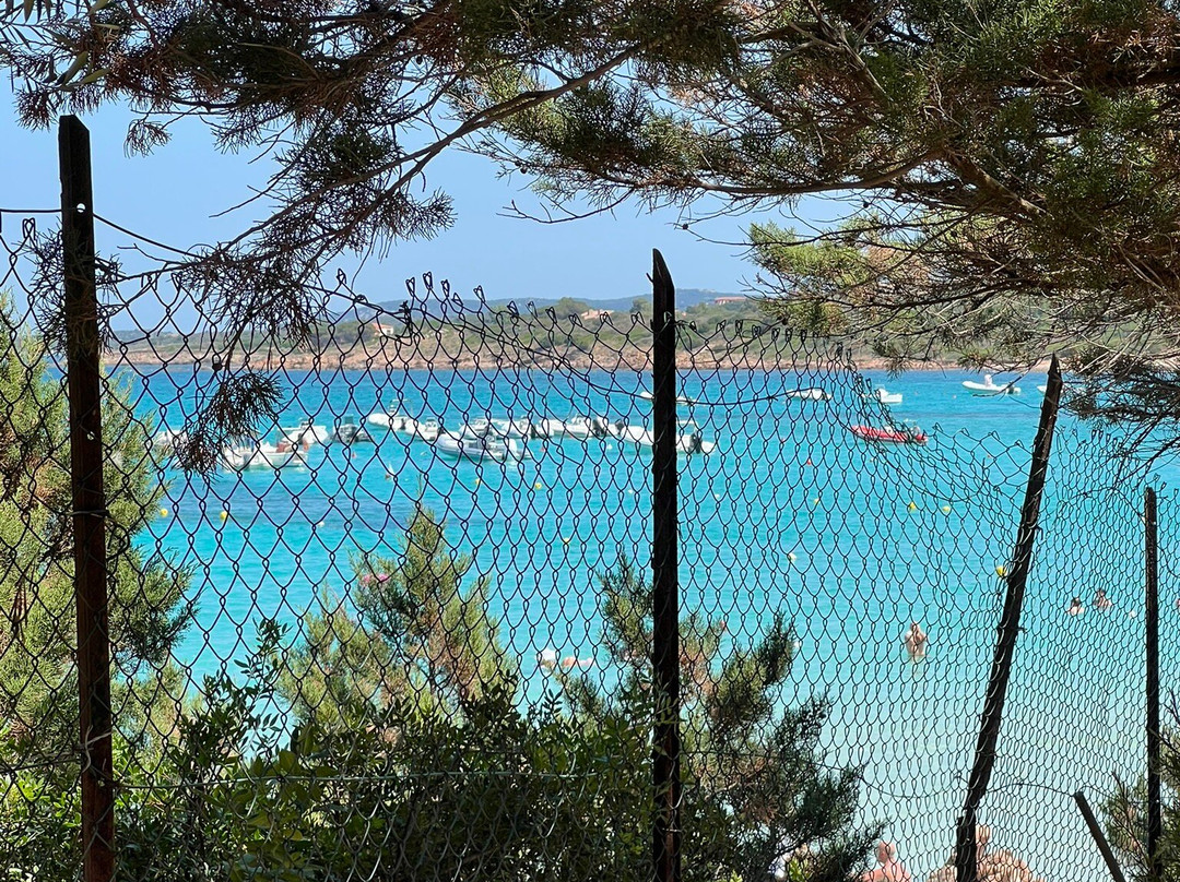 Park Hotel Porto Istana主图