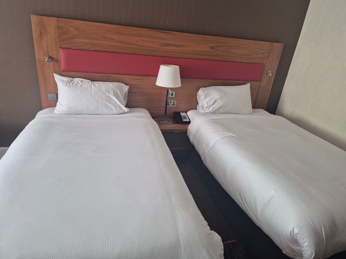 北纽伯里希尔顿逸林酒店-旅行者