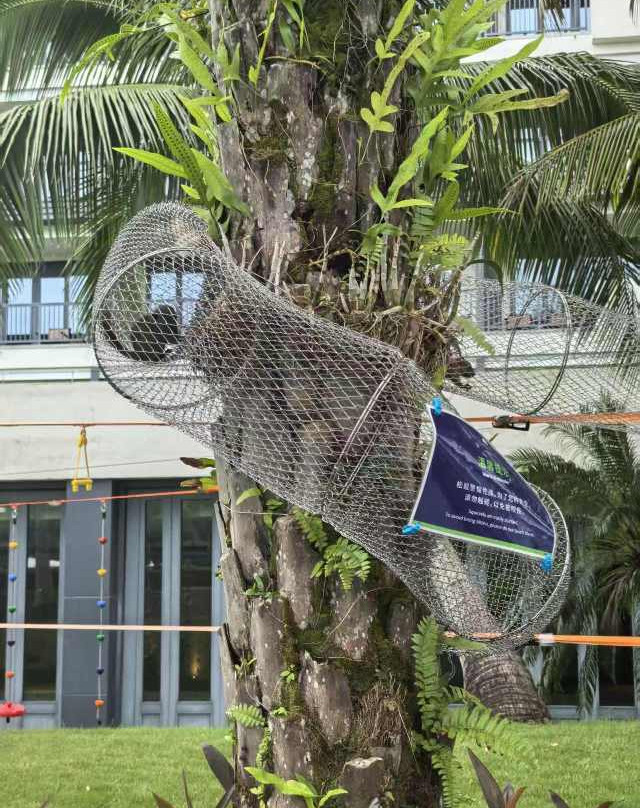 海南兴隆希尔顿逸林滨湖度假酒店主图
