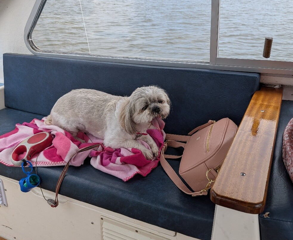 Martham Ferry Day Boat Hire-Martham必去景点