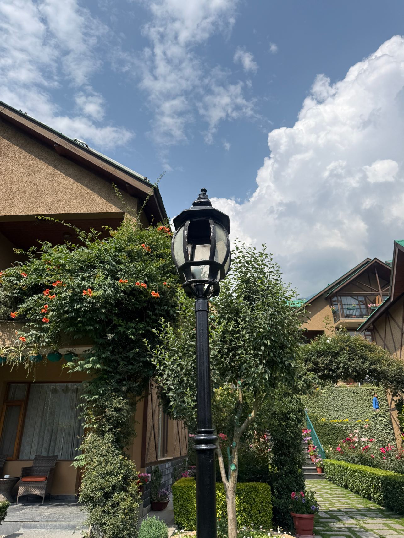 阿南特玛雅度假村-旅行者