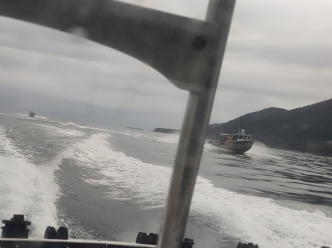 North Country Charters-荷马必去景点