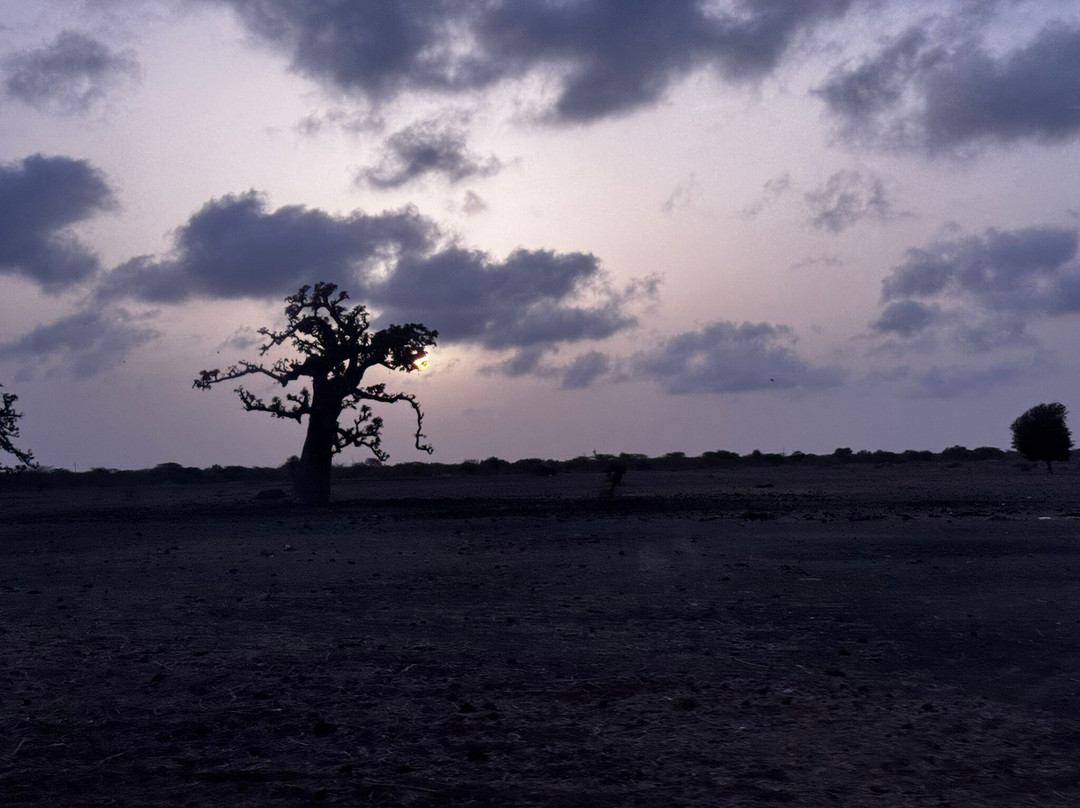 Babacar Trip Travel-Nianing必去景点
