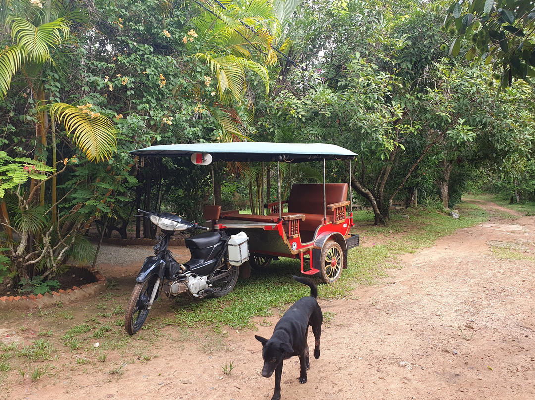 Kep Discovery