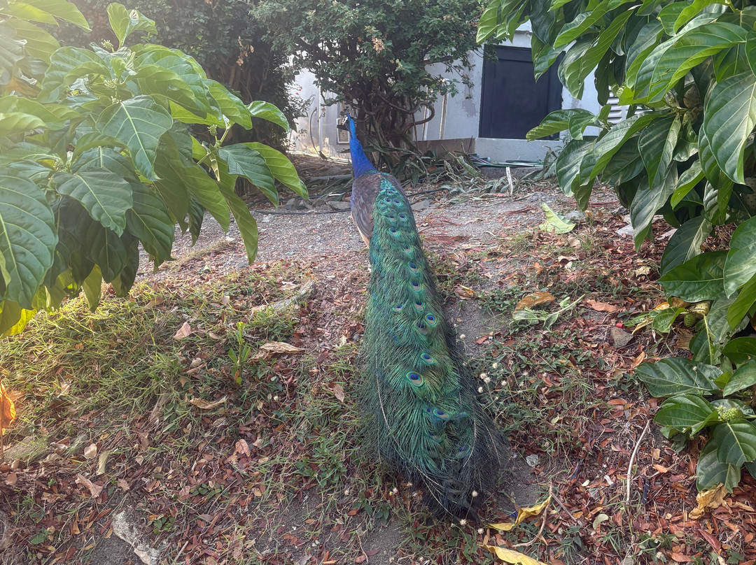 Garden by the Sea B&B主图
