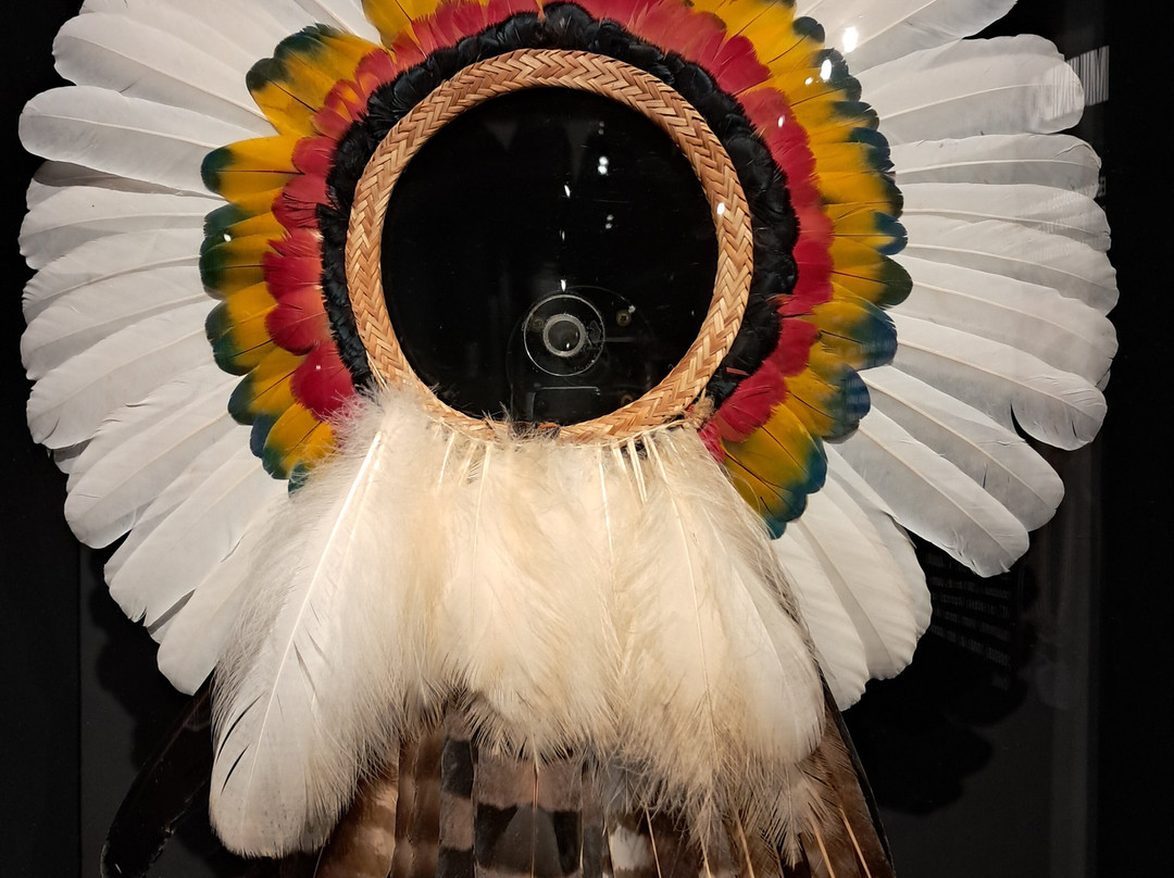 Museu de Arte Indigena-库里提巴必去景点