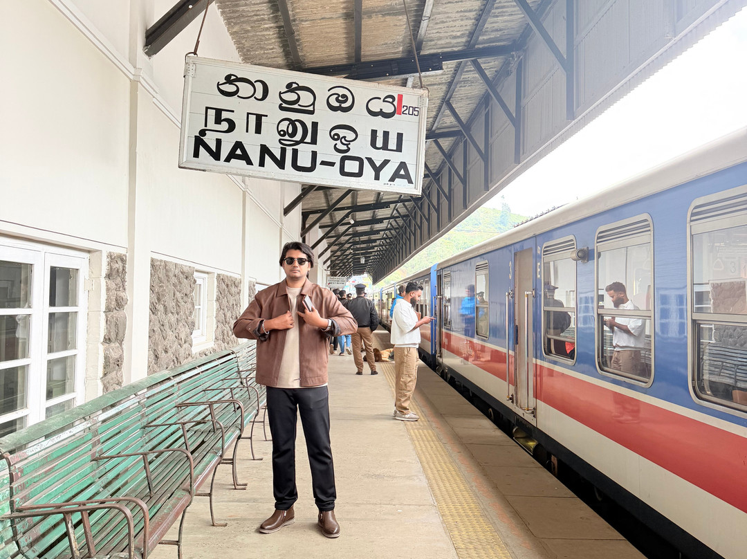 Nanuoya To Ella Train Ride-Nanu Oya必去景点