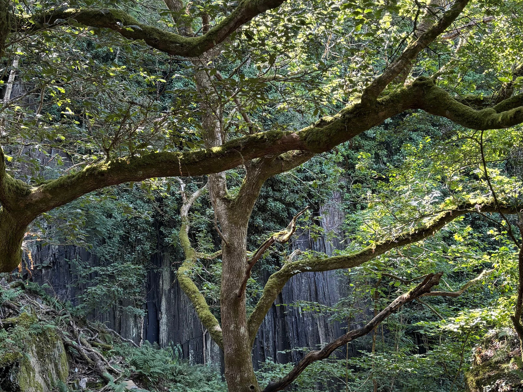 Welsh Wildlife Centre-Cardigan必去景点