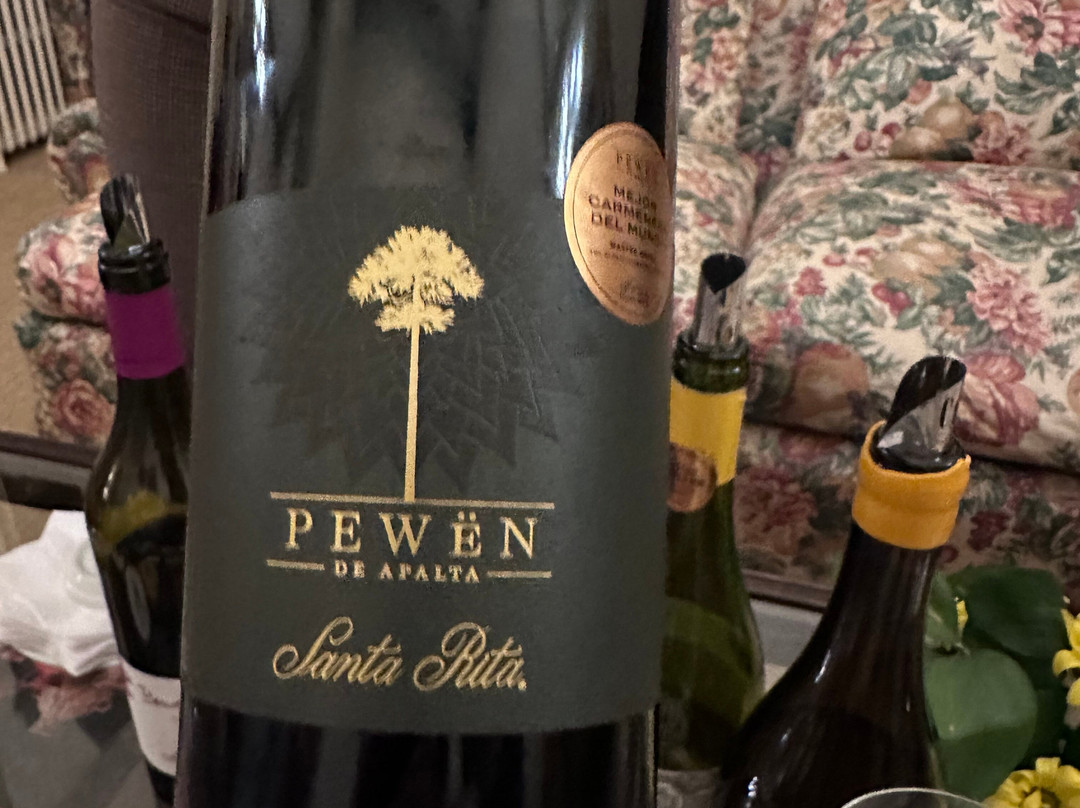 圣塔里塔威娜皇家之家酒店主图