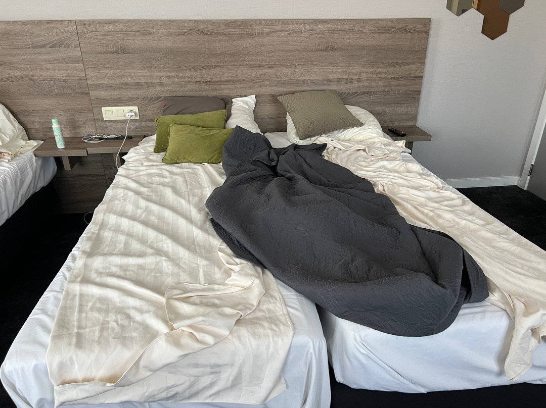 Hotel Du Commerce主图