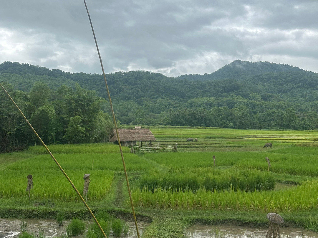 Living Land农场体验之旅-琅勃拉邦必去景点