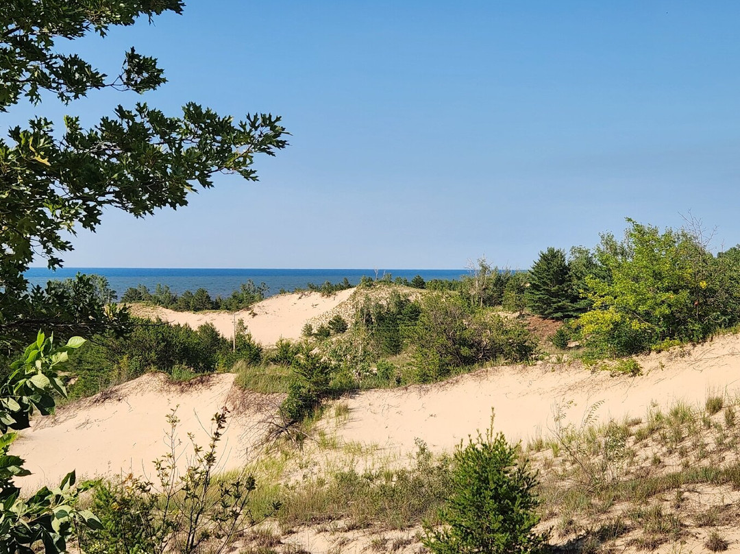 Dune Succession Trail-盖里必去景点