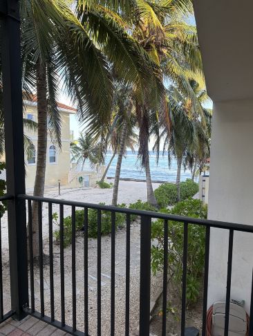 Turtle Nest Inn-旅行者