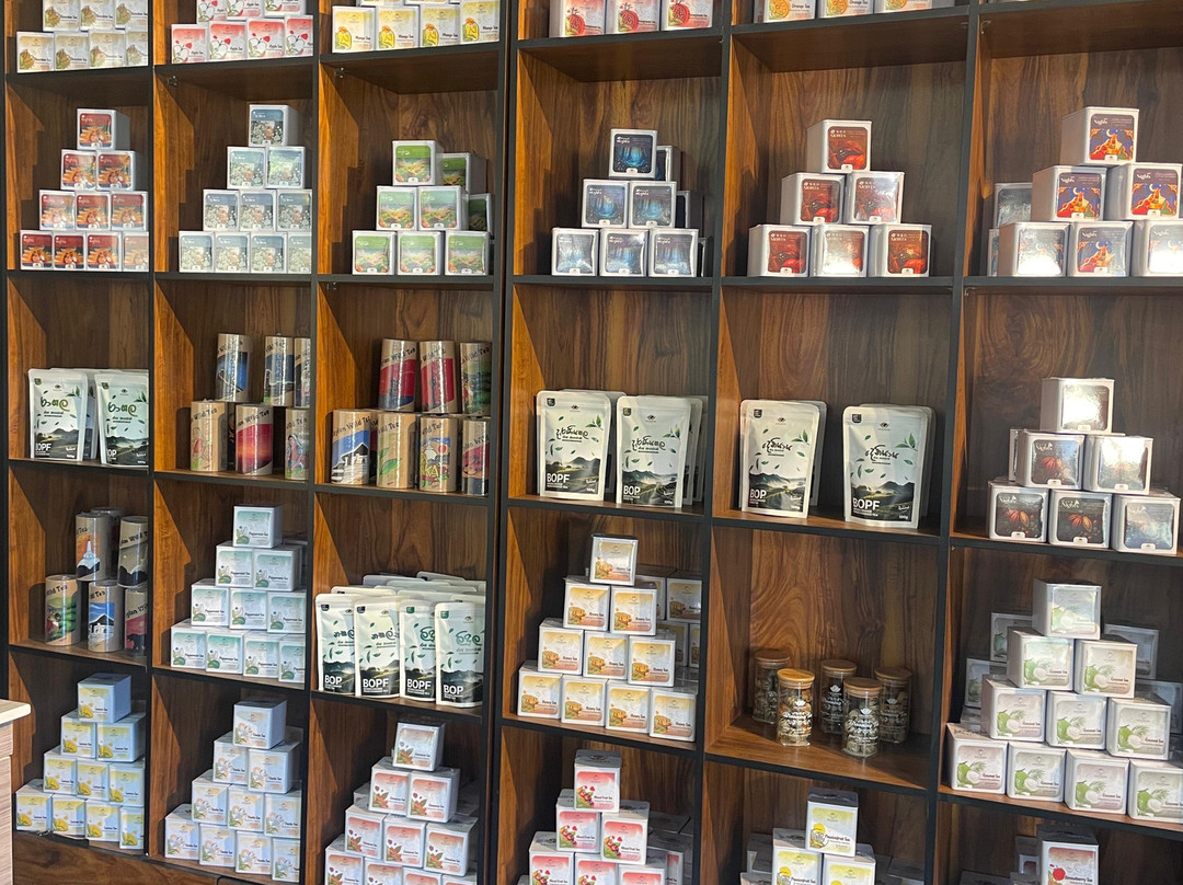 Camellia Tea Centre-Katukitula必去景点