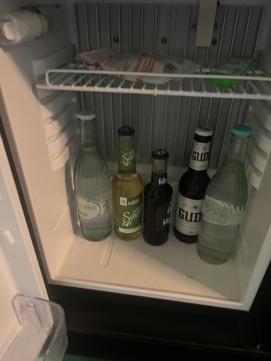 法兰克福 25 小时高盛酒店-旅行者