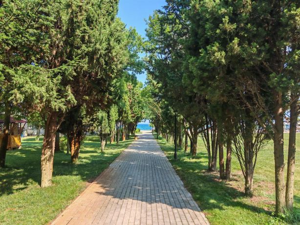 阿尔加拉海滩俱乐部效果酒店-旅行者