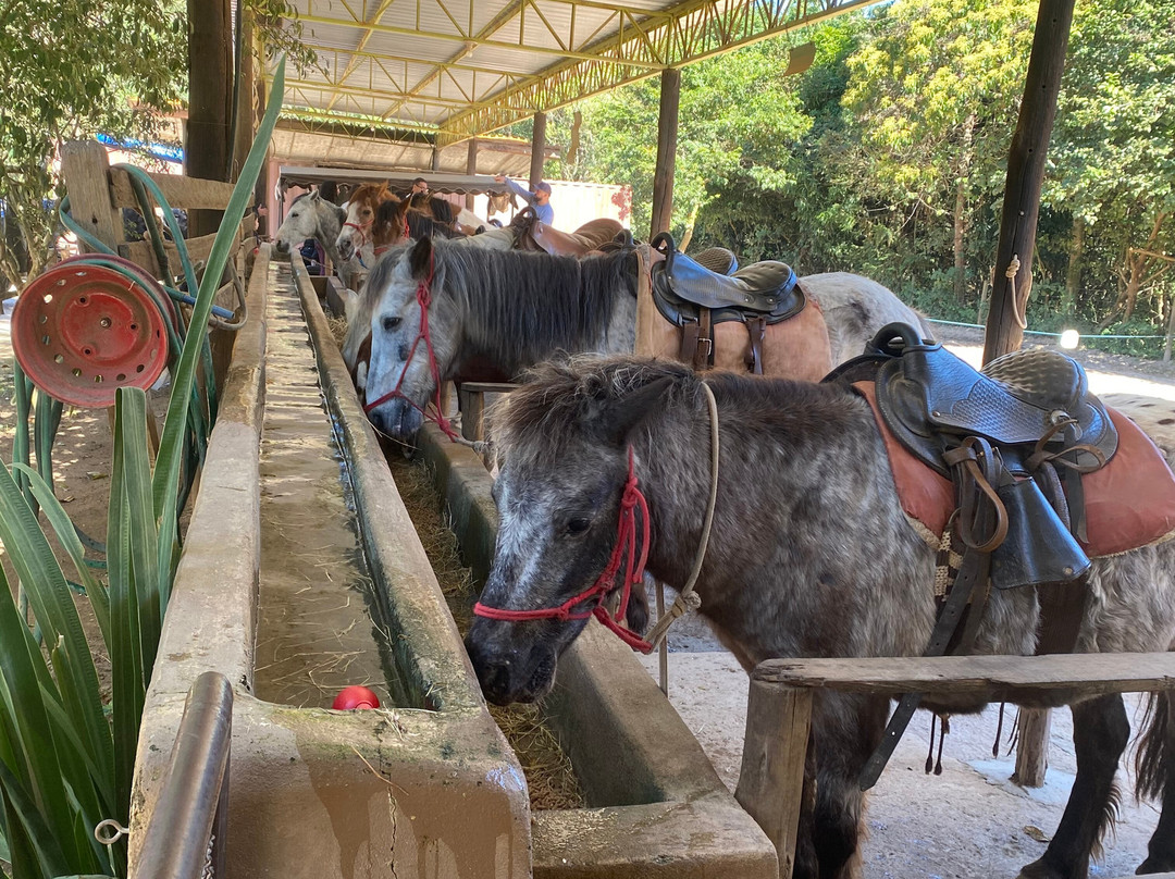 Hotel Fazenda Terra Dos Sonhos主图