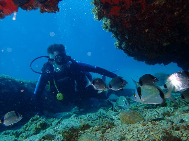Alonissos Seacolours Dive Center-Patitiri必去景点