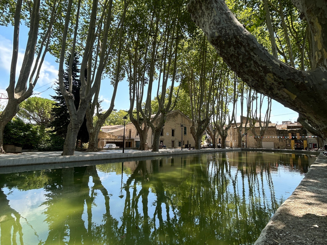 Bassin De L Étang-Cucuron必去景点