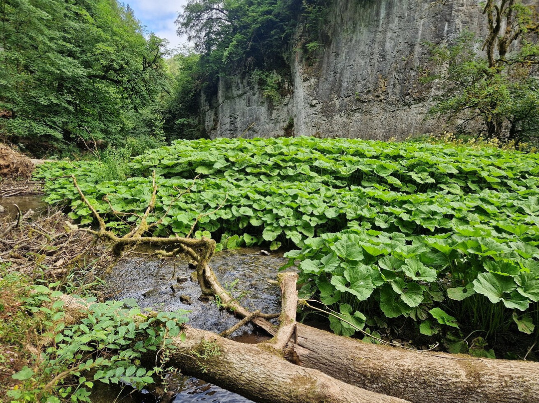Chee Dale-峰区国家公园必去景点