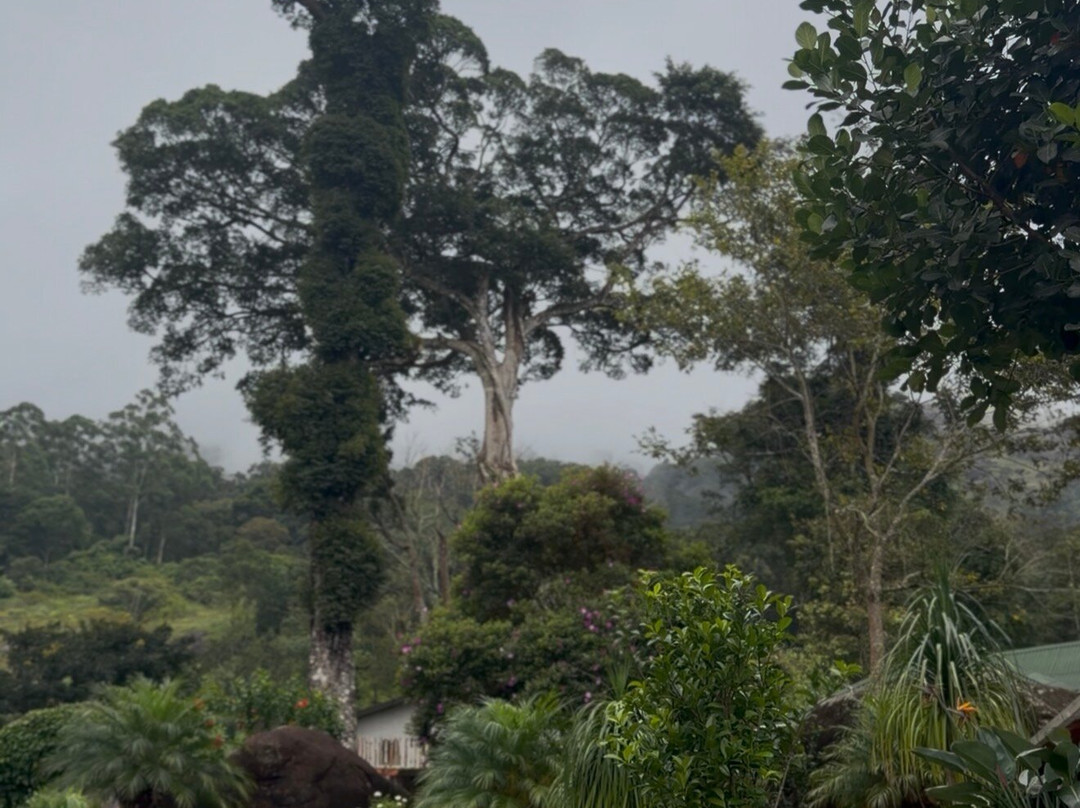 慕那尔尼拉克鲁润吉植物酒店主图
