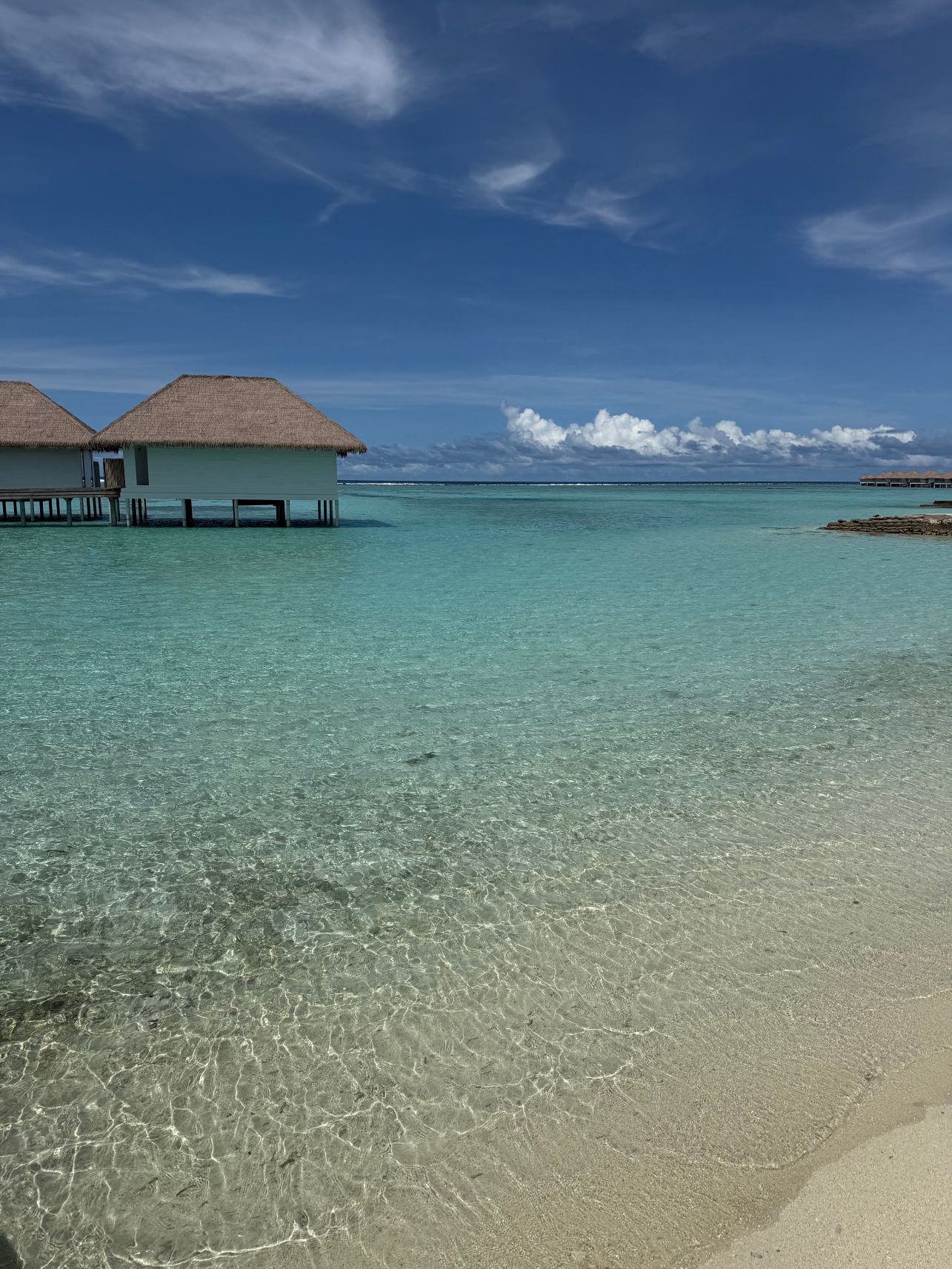 玛利夫锡科莫酒店-旅行者