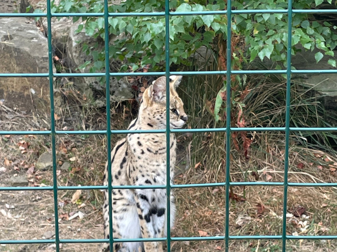 Ponderosa Zoo-Heckmondwike必去景点