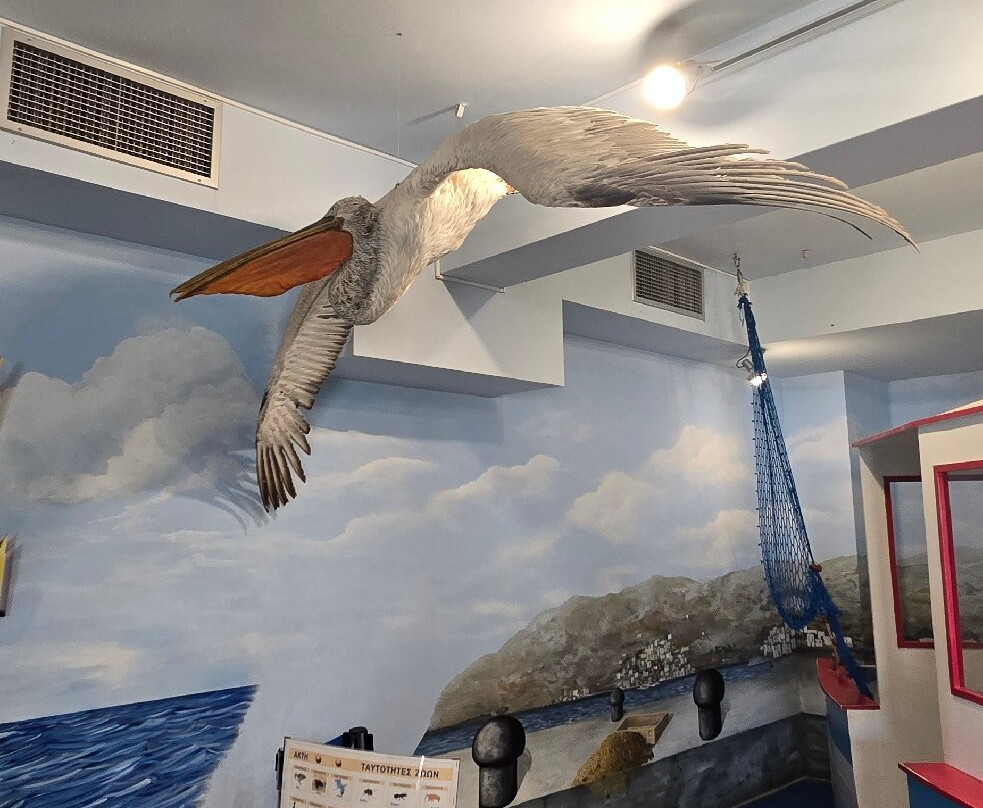 The Natural History Museum of Crete-伊拉克利翁必去景点